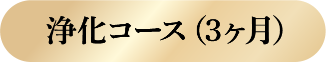浄化コース