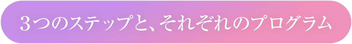 3つのステップと、それぞれのプログラム