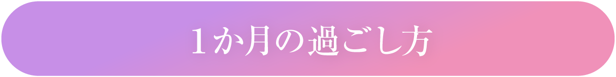 1か月の過ごし方