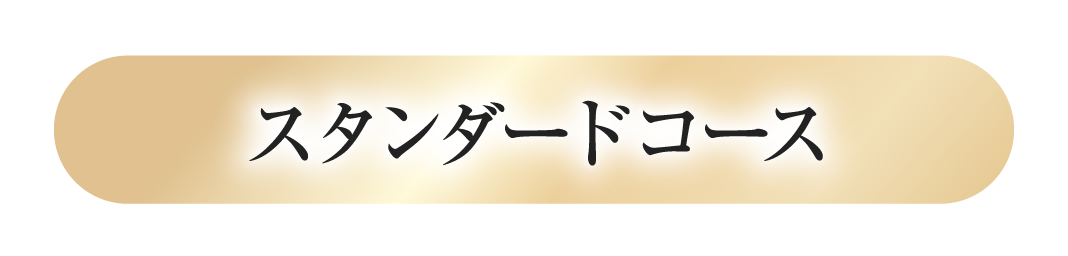 スタンダードコース
